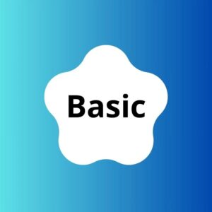 Basic | 1 P